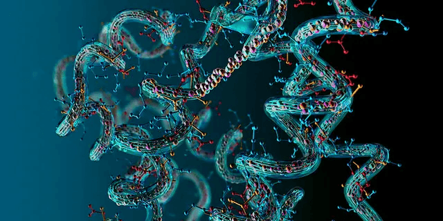 FlexMed peptide catalog visual