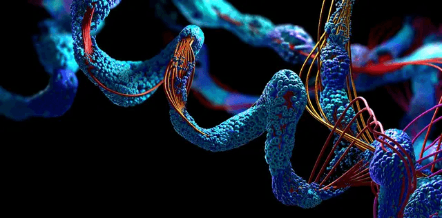 FlexMed peptide catalog visual